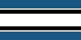 Minnesota Timberwolves NBA Team Color Wallpaper Border by Writings on the Wall