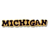 Michigan Wolverines Pillows - Plush Spirit Name