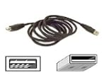 Belkin PRO Series C�ble Rallonge USB