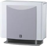 Yamaha YST-FSW100 Advanced YST II Subwoofer ( Silver )