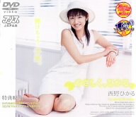 やさしく、ひかる。 [DVD]