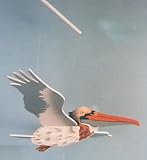 Flying Pelican