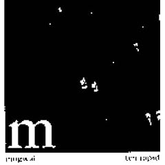 Mogwai - Ten Rapid