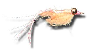 Spawning Shrimp Fly Fishing Fly