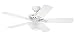 Kitchen & Housewares : Hunter 22461 The Astoria One-Light 52-Inch Five- Blade Ceiling Fan, White with Frosted Globe