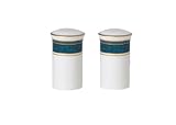 Royal Doulton Atlanta #H5237 Salt & Pepper