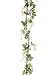 Pack of 6 Artificial White Silk Wisteria Flower Grape Vine Garlands 6'