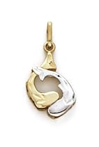 14k Two-Tone Pisces Zodiac Pendant