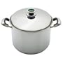 30CM X 22CM 16QT STOCK POT