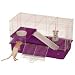 Deluxe My Frist Rat Home