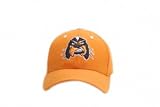 Tennessee Volunteers Hound X Light Orange ZHS Toddler Flex Fit Hat