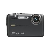 Casio Exilim EX-FS10 9MP Digital Camera with 3x Optical Image Stabilized Zoom and 2.5 inch LCD (Gray)