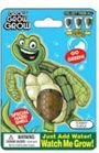 Grow 600% Tommy Turtle, Just Add Water