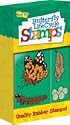 Butterfly Life Cycle Stamps