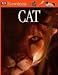 Search : Cat (Eyewitness)