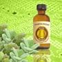 Sandalwood Scented Oil - Bonus Size 120 ml