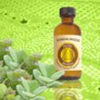 Sandalwood Scented Oil - Bonus Size 120 ml by Premium Home Fragrance Oil