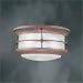 Thomas Lighting Hudson Bay 2 Light Outdoor Flush Mount in Tile Bronze 11 1/4 in, - PL9283-81