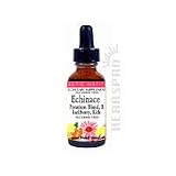 Eclectic Institute Inc Echinacea Premium Blend Blackberry