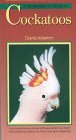 A birdkeeper's guide to cockatoos