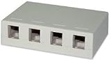 4-Port Surface Mount Box Light Ivory