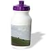 Beverly Turner Photography - Cows Grazing down a Green Hill - Water Bottles