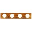Westinghouse Lighting 66443 Wall Fixture