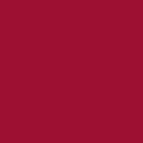 PANTONE SMART 19-1862X Color Swatch Card, Jester Red