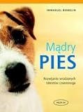 Madry pies