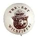 Smokey the Bear Antenna Ball Topper