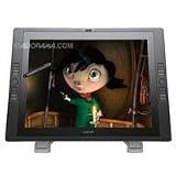 Wacom DTK2100 21-Inch Pen Display - Graphics Monitor with Digital Pen