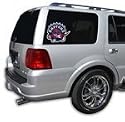 Toronto Raptors Cutz (10"x12") (10"x12") Set of 8 Glass Window Tattoos - NBA Basketball