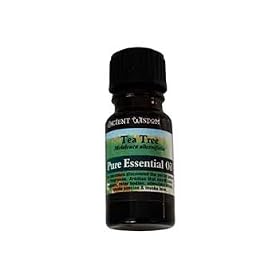 Ancient Wisdom Pure Essential Oil - Tea Tree 10ml