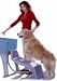 Pet Supplies : Booster Bath Ramp