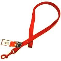 Four Paws Nylon Dog Leash / Lead (Red, 4 ft. L x 5/8 Inch W)