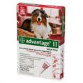 Advantage II For Large Dogs 21-55 lbs - 12 Pack