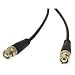 Cables To Go - 03189 - 50ft RG58 BNC ThinNet Coax Cable