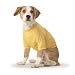 Go For It Yellow Tee Shirt for Dogs by DC