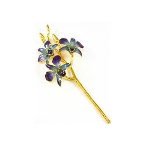 REAL FLOWER Dendrobium Orchid in Purple Blue by 