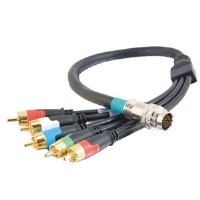 Rapidrun 5-RCA Flying Lead 10ft