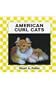 American Curl Cat (Cats Set II)