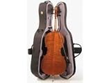 Stentor Conservatoire Cello Outfit