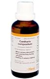 Heel/BHI Cantharis Compositum