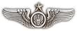 Senior Air Crew Small Pin