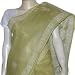 ShalinCraft Indian Saree Cotton Chikan Embroidery Green (ochsari079)