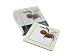 Royal Worcester Evesham Gold 4-Inch Square Coasters, Set of 6