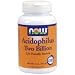 Now Foods Acidophilus 2 Billion, 4-Ounce