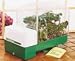 Hydro Greenhouse Auto-Feed Hydroponic Grower