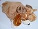 Reindeer Dog Pet Halloween Costume in Small