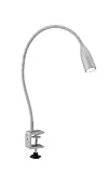 Flexleuchte, 1x1W LED, stahl von Paul Neuhaus